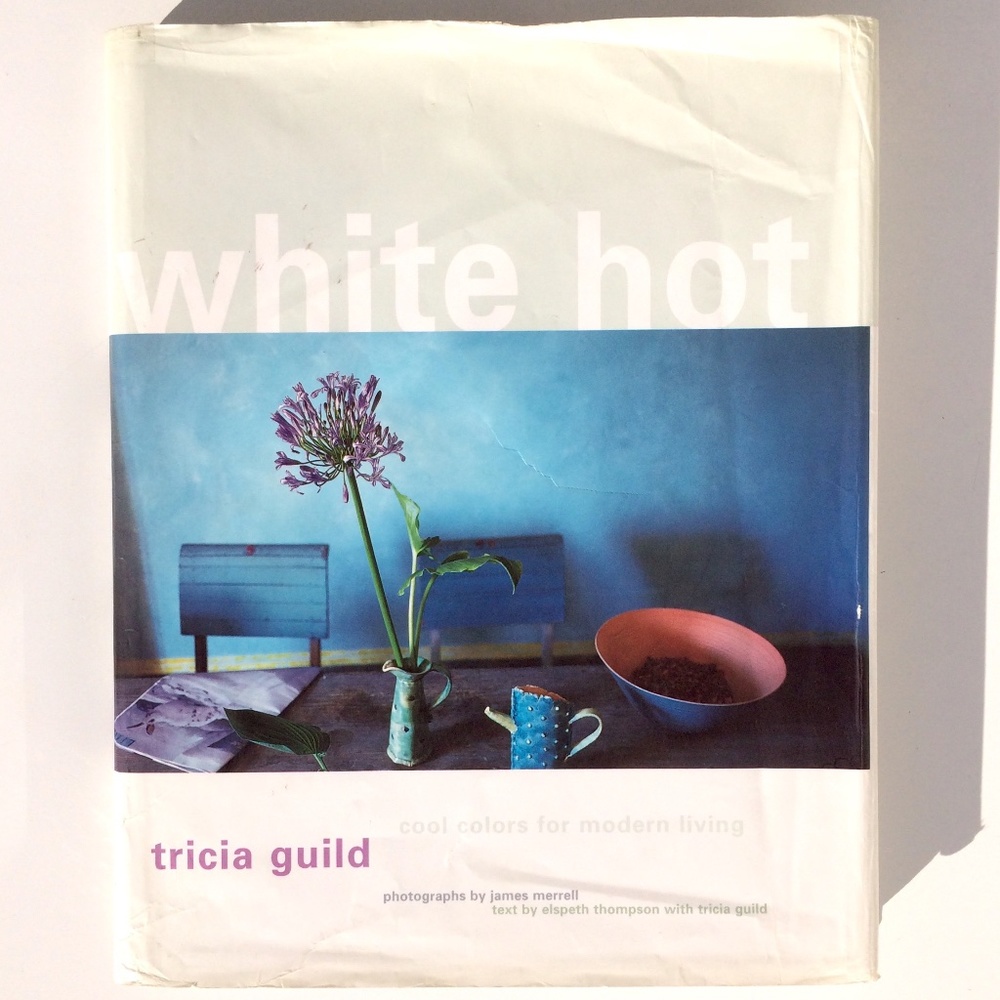 White Hot : Cool Colors for Modern Living by Tricia Guild  Hardcover